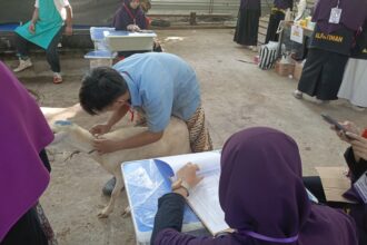 Jaga Amanah Pequrban, Alfatihah Terapkan Sistem Pencatatan Hewan Kurban