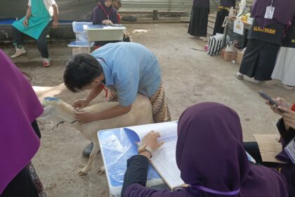 Jaga Amanah Pequrban, Alfatihah Terapkan Sistem Pencatatan Hewan Kurban
