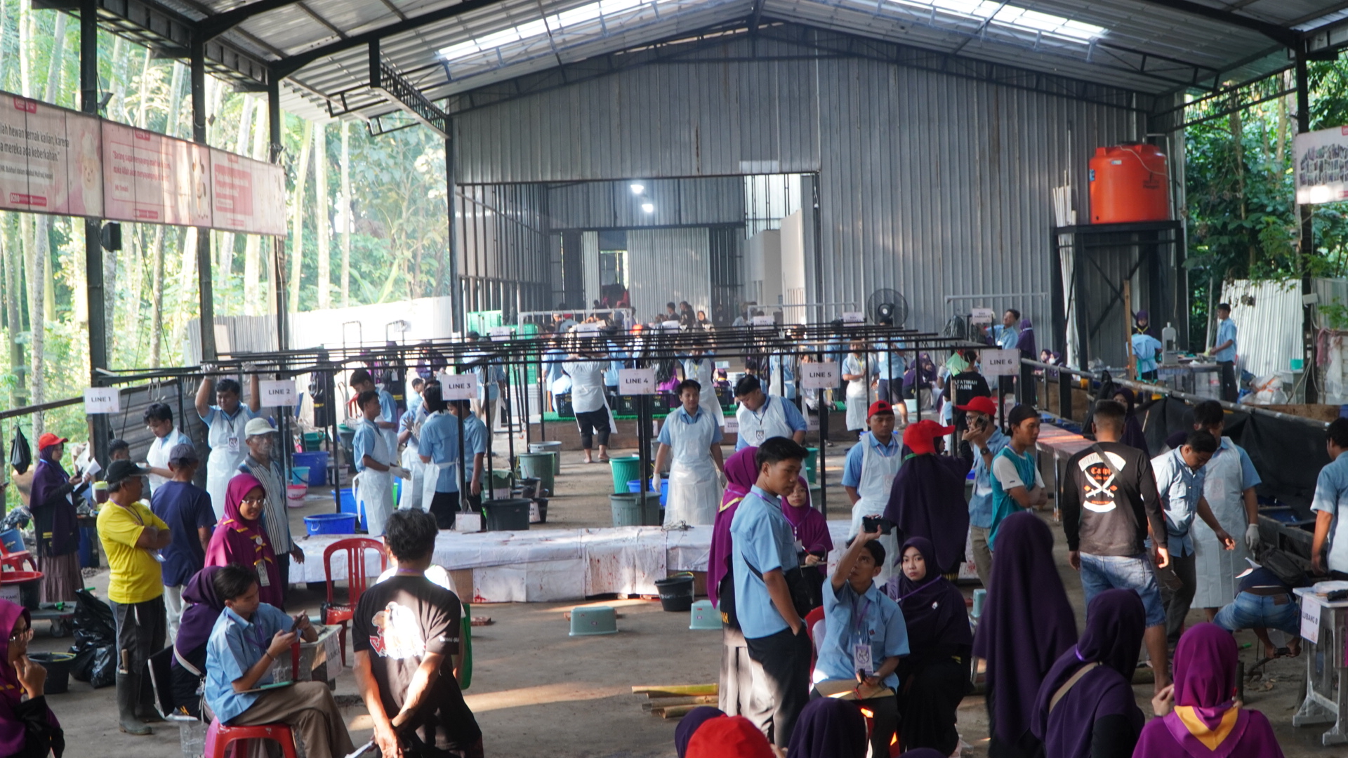 Berdiri Sejak 2021, Qurban Alfatihah Kini Tangani Lebih dari 1.500 Hewan Qurban