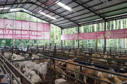 Transparan dan Modern, Qurban Alfatihah Gunakan Sistem Realtime untuk Pantau Penyembelihan dan Distribusi
