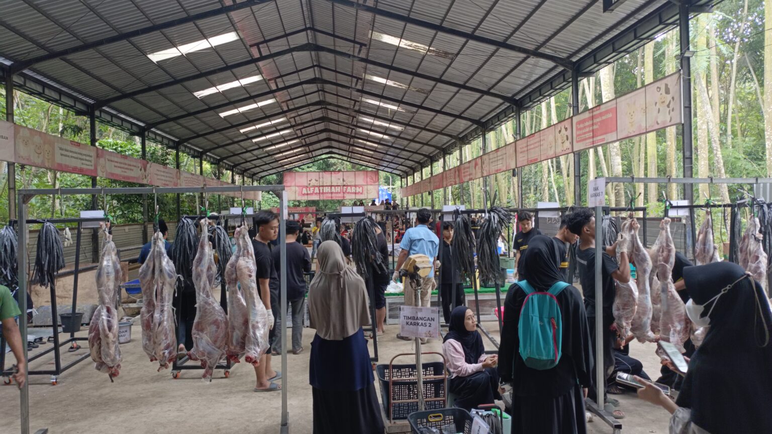Pemotongan Qurban Alfatihah 2026 Digelar Tiga Hari, Ratusan Hewan Diproses Bertahap