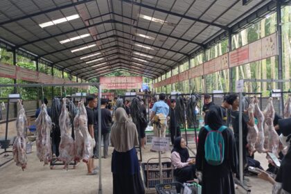 Pemotongan Qurban Alfatihah 2026 Digelar Tiga Hari, Ratusan Hewan Diproses Bertahap