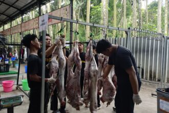 Begini Proses Penanganan Karkas di Qurban Alfatihah 2026 yang Jadi Sorotan