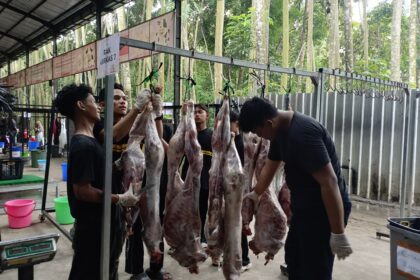 Begini Proses Penanganan Karkas di Qurban Alfatihah 2026 yang Jadi Sorotan
