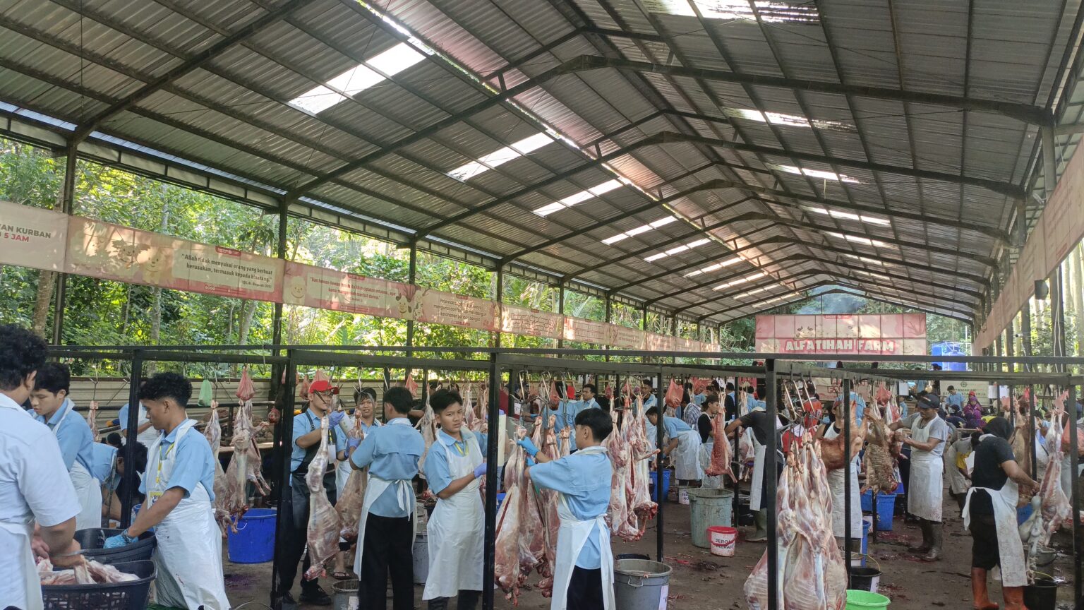 Belajar Kelola Ribuan Hewan Kurban dari Panitia Gen Z Alfatihah