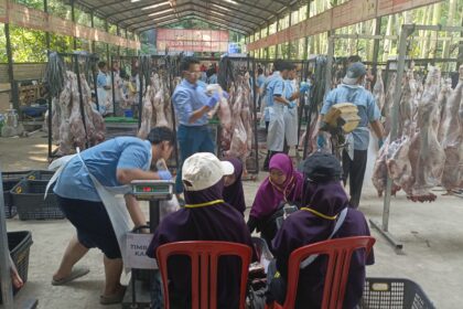 Begini Tata Cara Pemotongan Hewan Qurban di Alfatihah, Tertib dan Sesuai Syariat