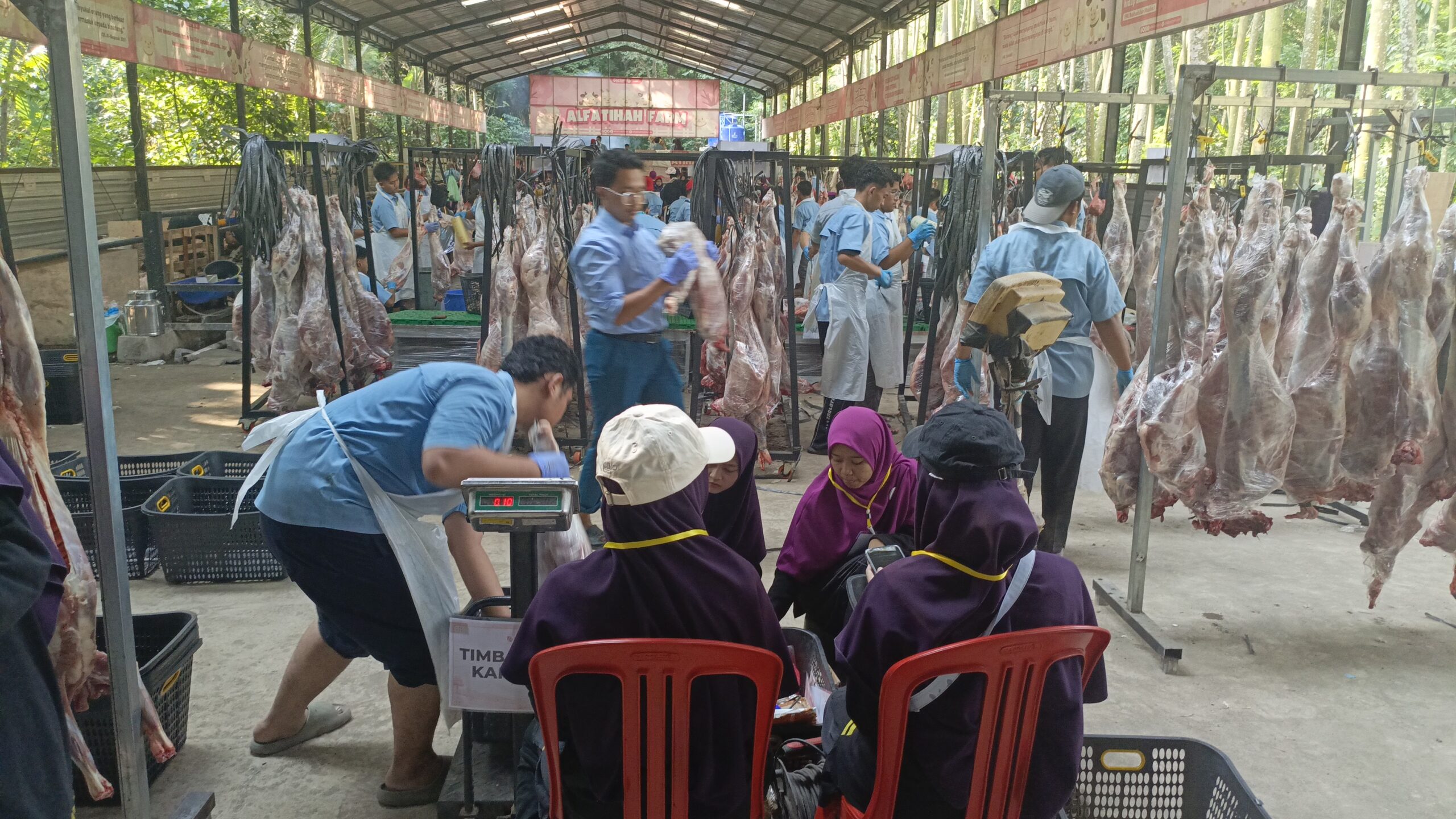 Begini Tata Cara Pemotongan Hewan Qurban di Alfatihah, Tertib dan Sesuai Syariat