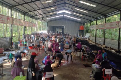 Hari Ketiga Sekaligus Hari Terakhir, Alfatihah Targetkan Pemotongan 500 Hewan Qurban Hari Ini