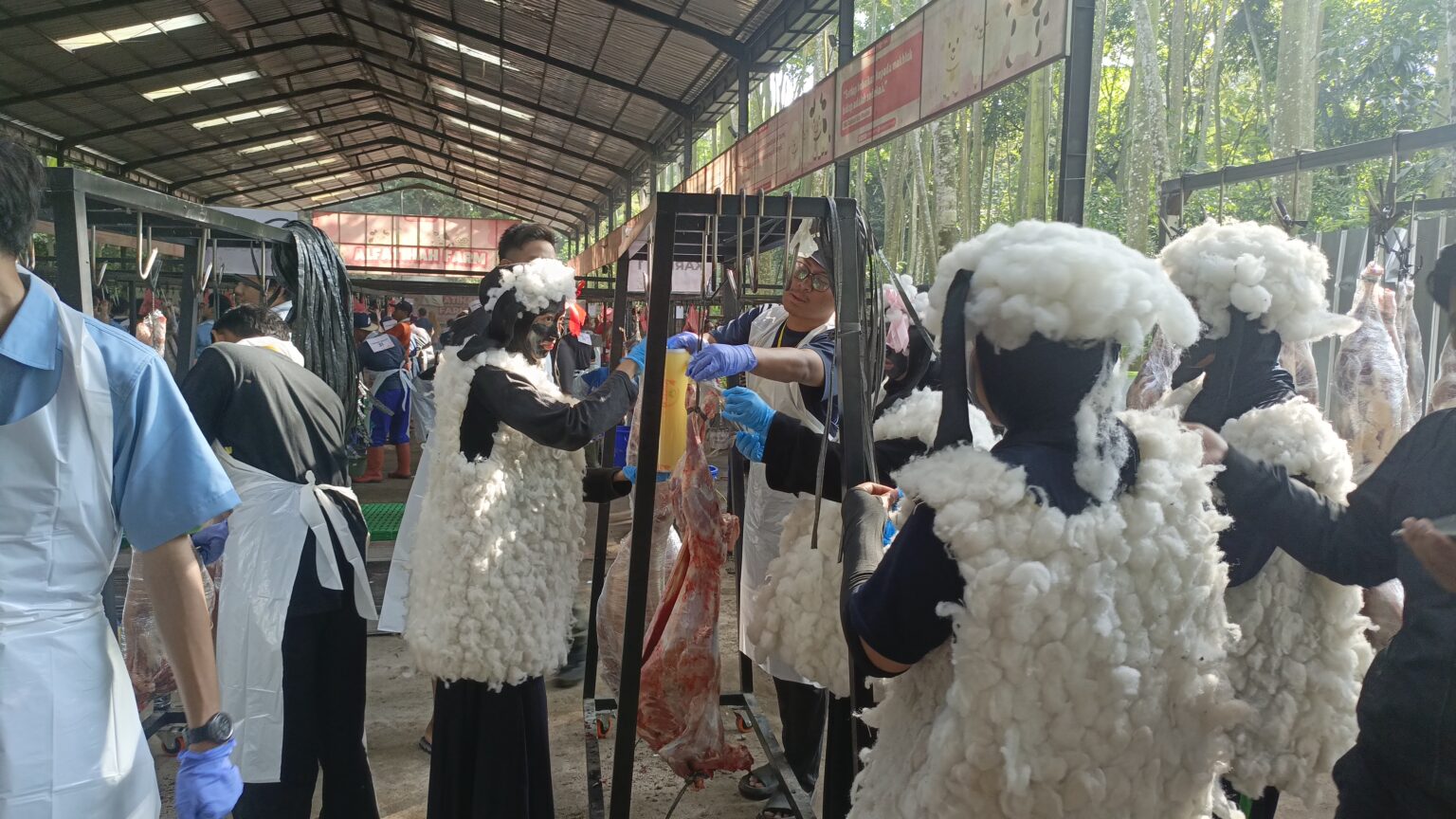 Unik, Santri Berkostum Shaun the Sheep Bantu Panitia Pemotongan Hewan Kurban