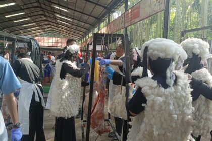 Unik, Santri Berkostum Shaun the Sheep Bantu Panitia Pemotongan Hewan Kurban