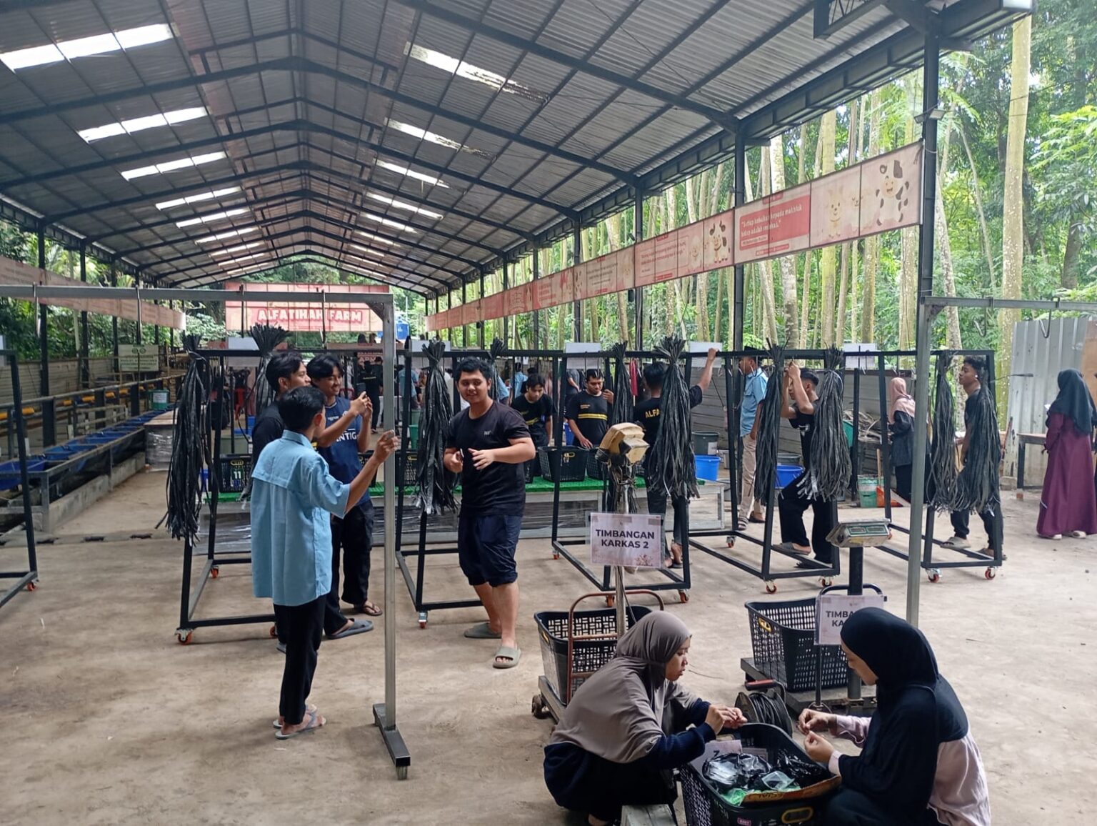 Panitia Qurban Gelar Gladi Bersih Pemotongan 300 Ekor Domba di Hari Raya Iduladha