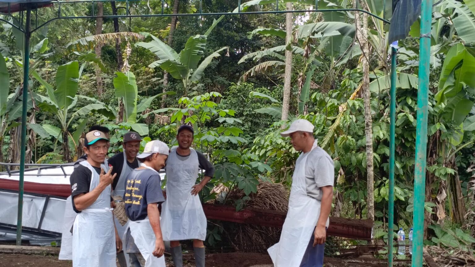 Hari Pertama Pemotongan Qurban Alfatihah Berjalan, Tim Lapangan Proses 307 Hewan