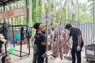 Begini Cara Cerdas Yayasan Alfatihah Saat Kelola Ribuan Hewan Qurban