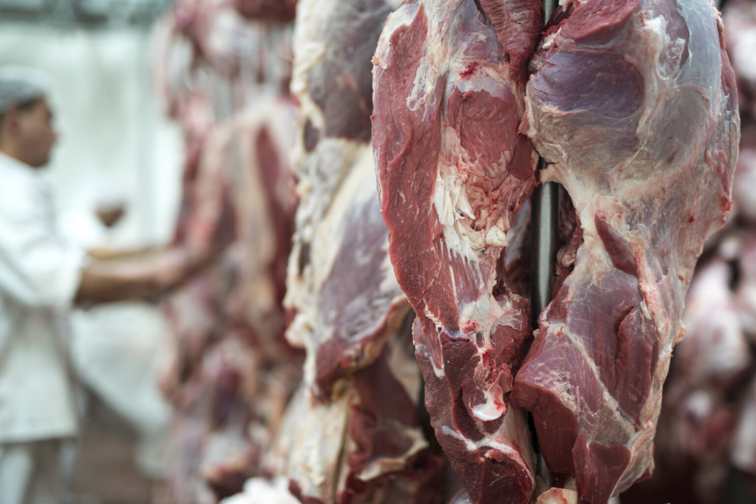 Bolehkah Memakan Daging Hewan Kurban Sendiri? Simak Hukumnya dalam Islam
